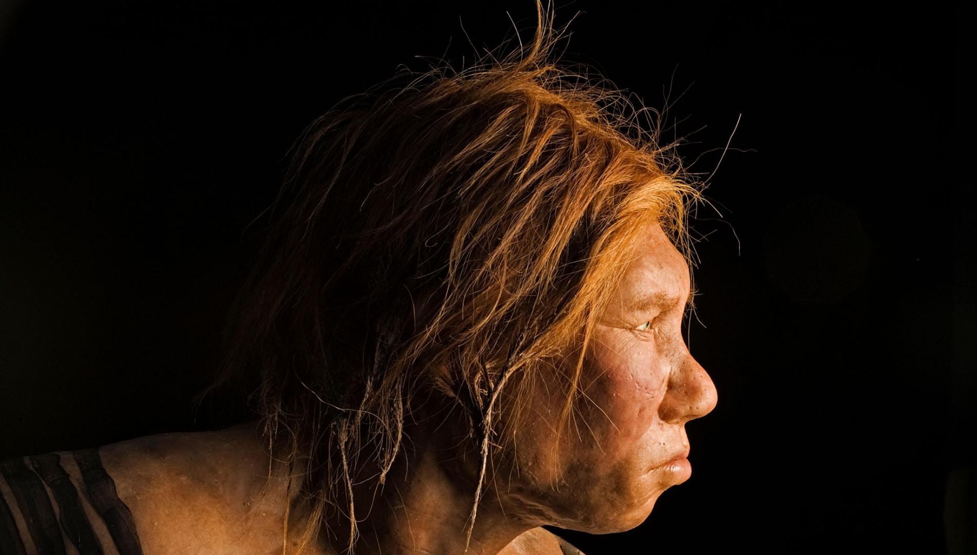 Tko je ubio neandertalca?