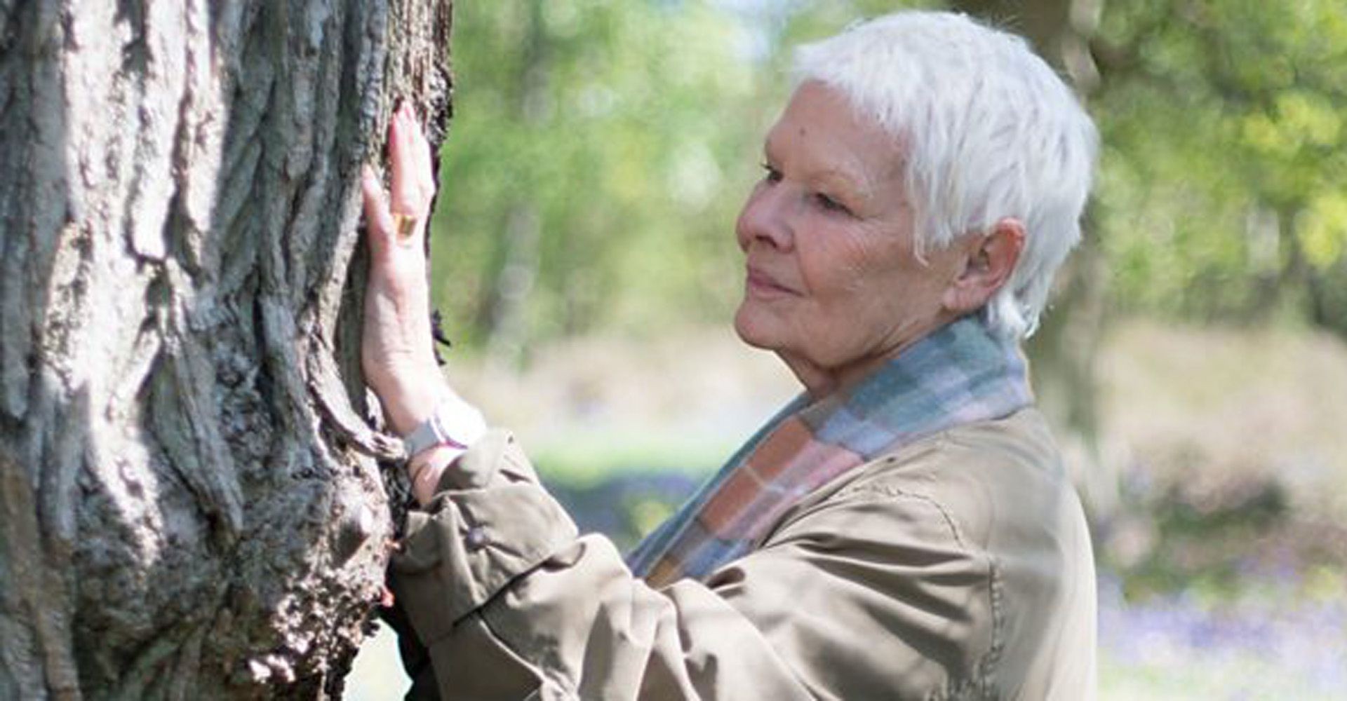 Judy Dench: Strast za drvećem