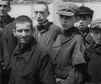 Belsen: Neispričana priča