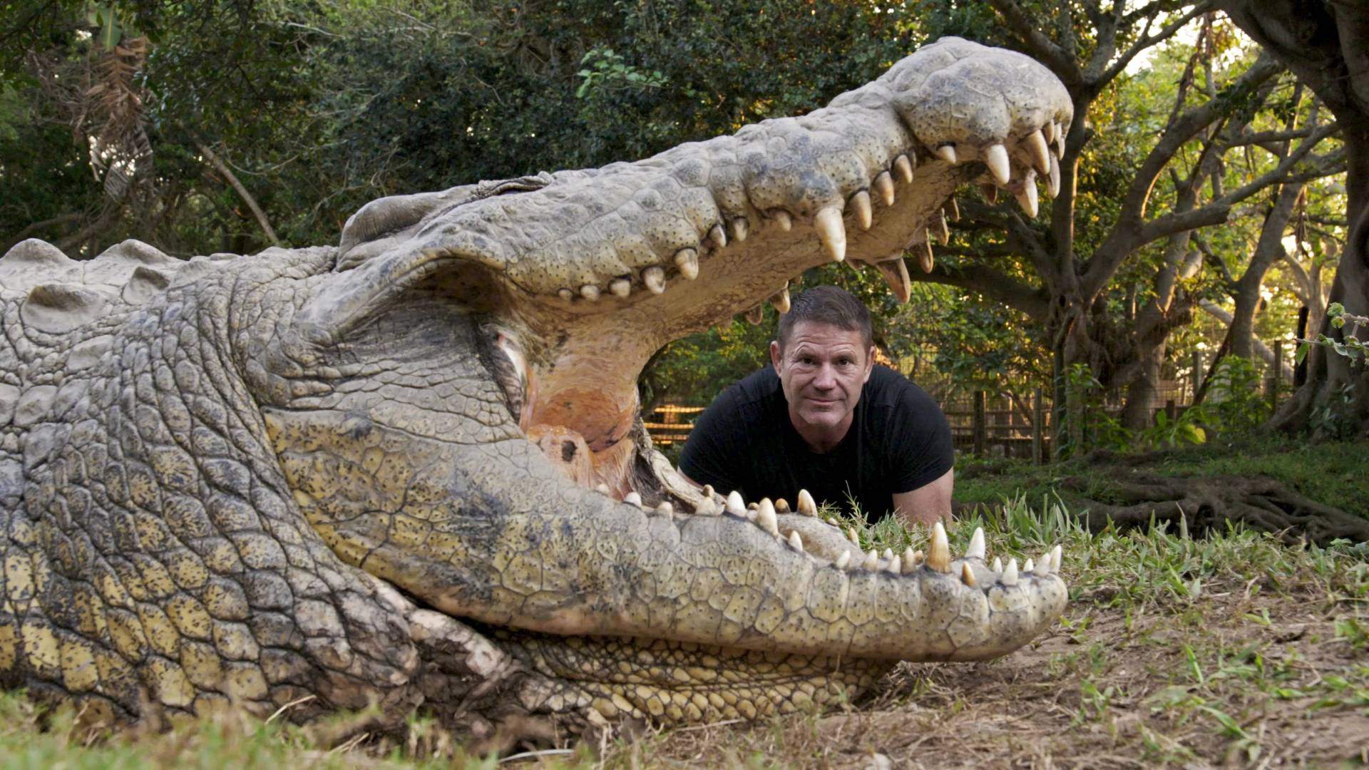 Steve Backshall s krokodilima i nilskim konjima
