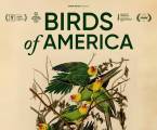 Ptice, simbol Amerike