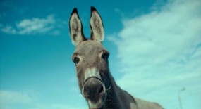 TOVAR - remek-djelo Jerzyja Skolimowskog nagrađeno na Filmskom festivalu u Cannesu u kinima!